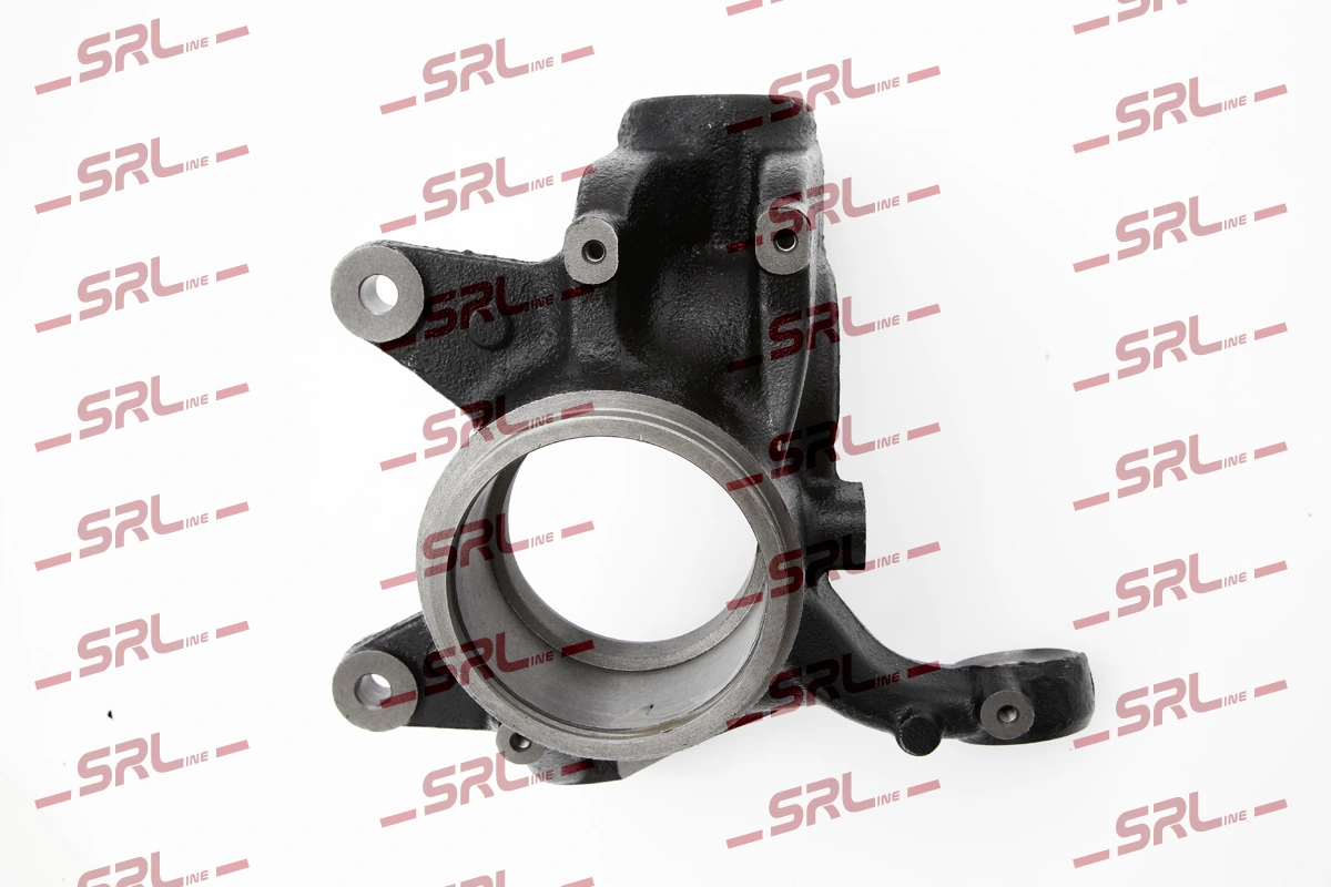 Steering Knuckle, wheel suspension ZW-B009L