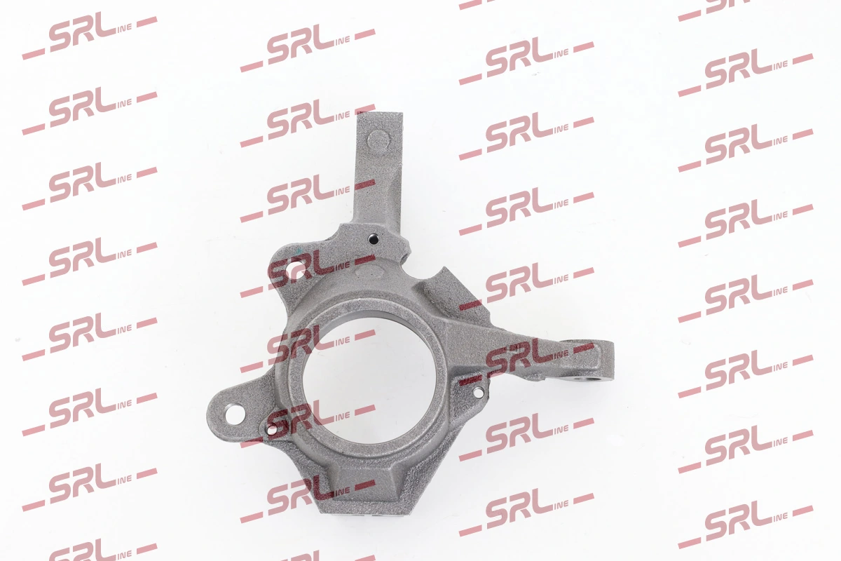 Steering Knuckle, wheel suspension ZW-R007L