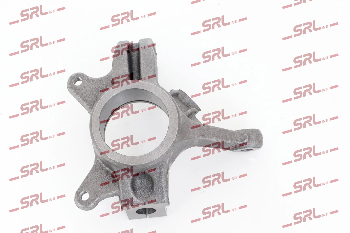 Steering Knuckle, wheel suspension ZW-R003L