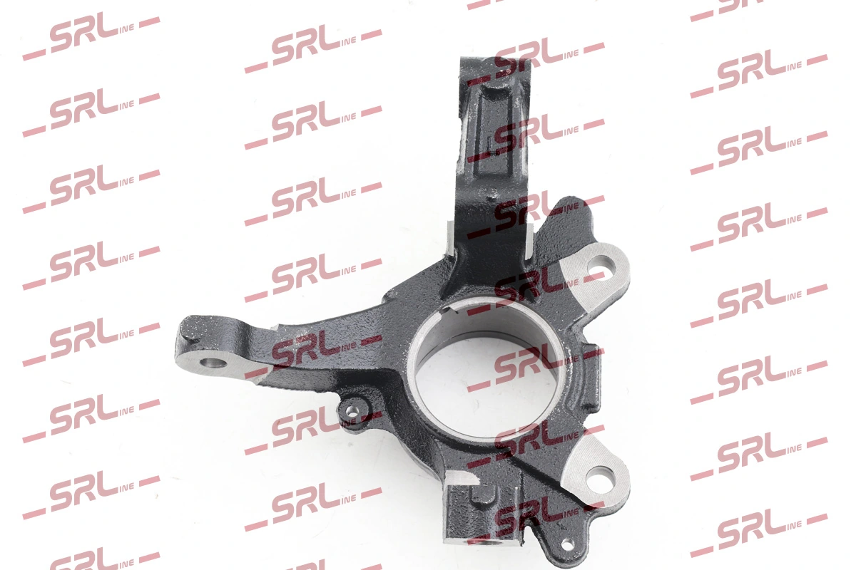 Steering Knuckle, wheel suspension ZW-F003L