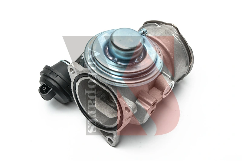 EGR Valve EGRA055
