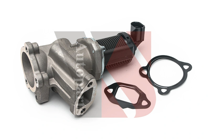 EGR Valve EGRA022