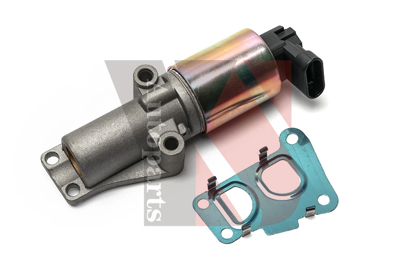 EGR Valve EGRA119