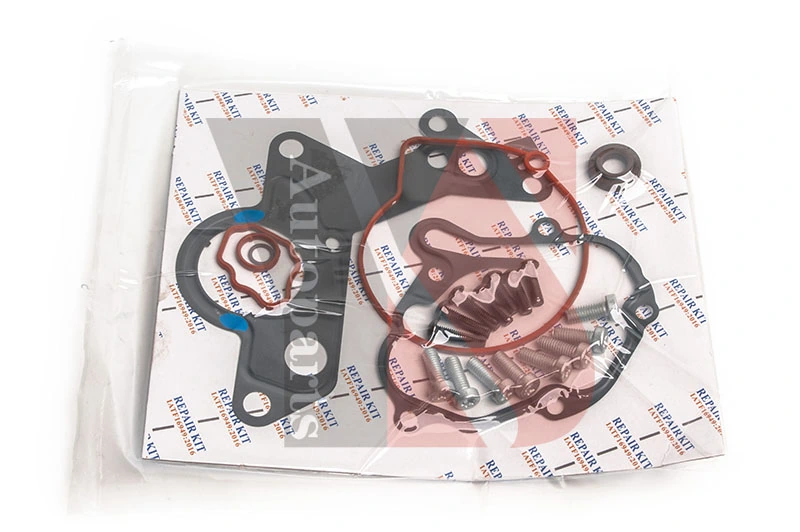 Repair Set, vacuum pump (braking system) YS-VP26XLB01