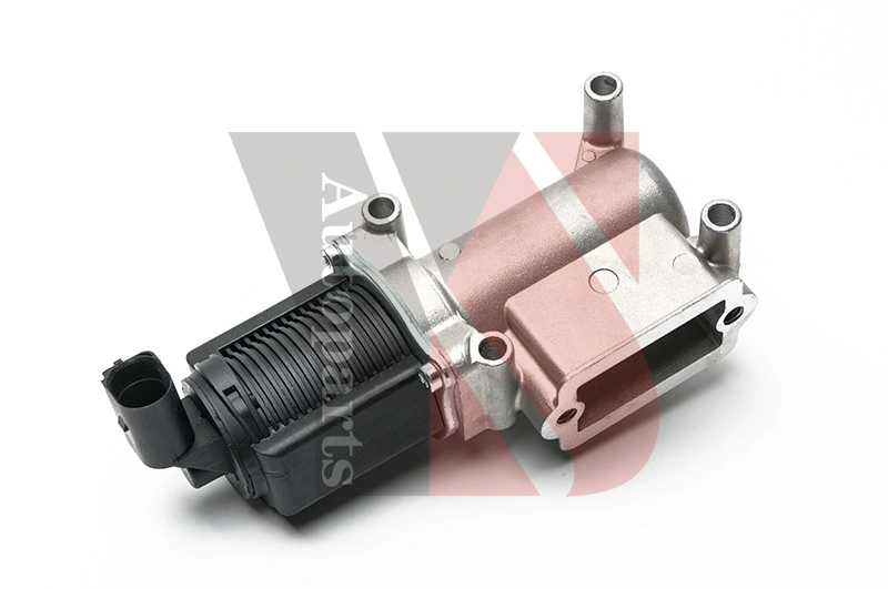EGR Valve EGRA111