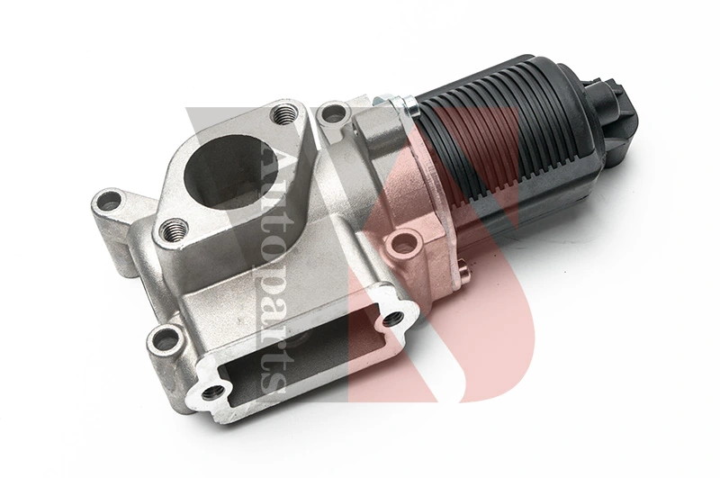 EGR Valve EGRA111
