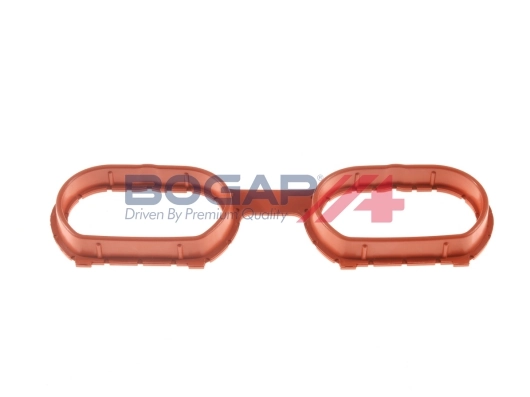 Intake Manifold Module BOGAP Premium B1712100