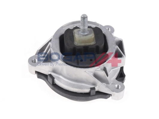 Vacuum Pump, braking system BOGAP Premium B1916110