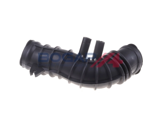 Intake Hose, air filter BOGAP Premium B1710108