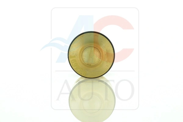 Control Valve, air conditioning compressor AC-02DN10