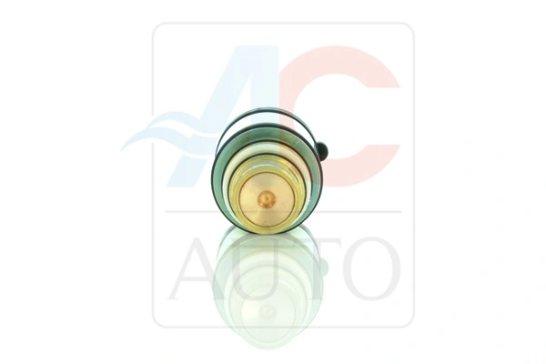 Control Valve, air conditioning compressor AC-02SD09