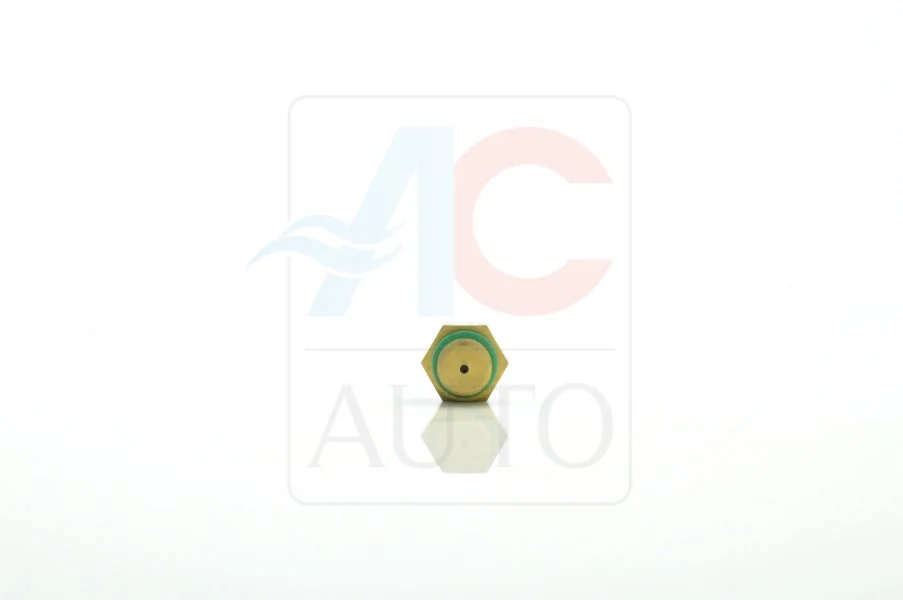 Control Valve, air conditioning compressor AC-02DL11