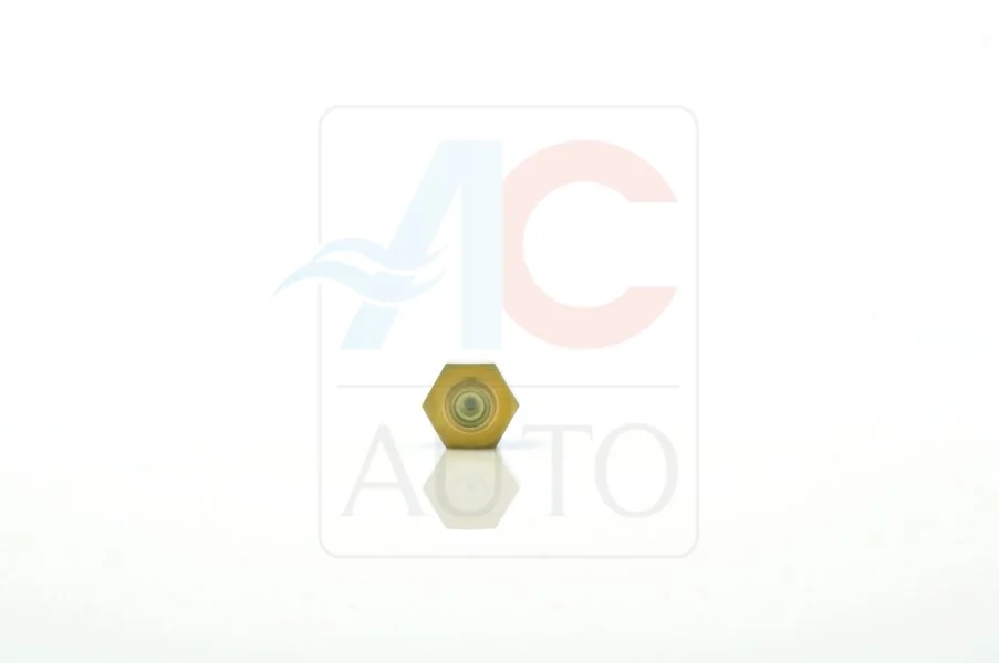 Control Valve, air conditioning compressor AC-02DL11