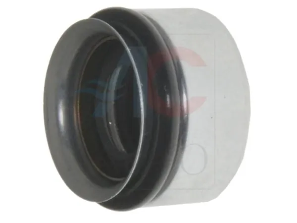 Shaft Seal, compressor shaft AC-10XX06