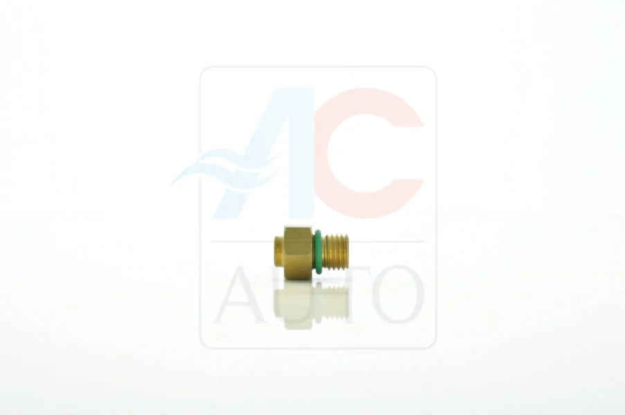 Control Valve, air conditioning compressor AC-02DL11