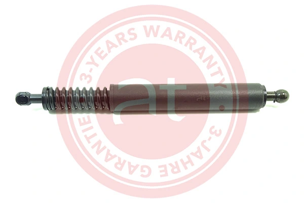 Gas Spring, boot/cargo area at11923