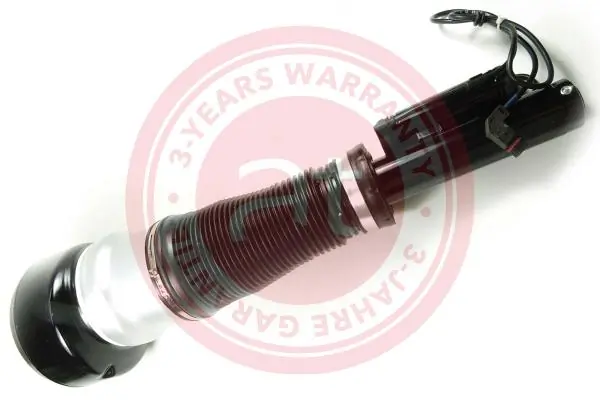 Air Suspension Strut at10257