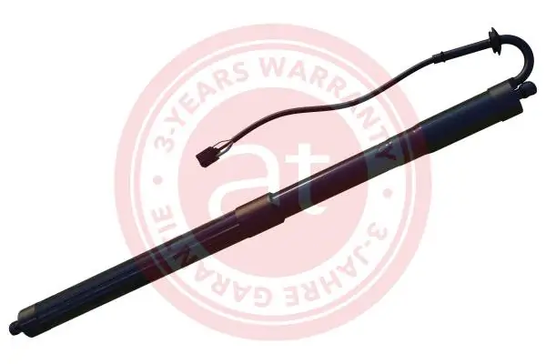 Electric Motor, tailgate at11951