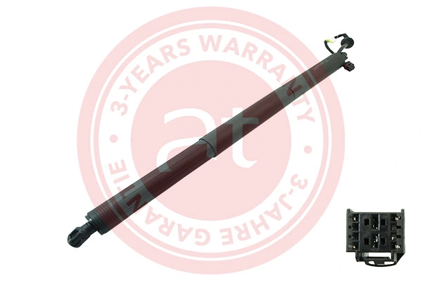 Electric Motor, tailgate at11942