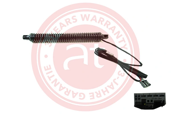 Electric Motor, tailgate at11911