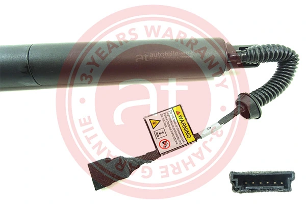 Electric Motor, tailgate at11916