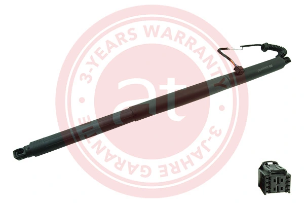 Electric Motor, tailgate at11935