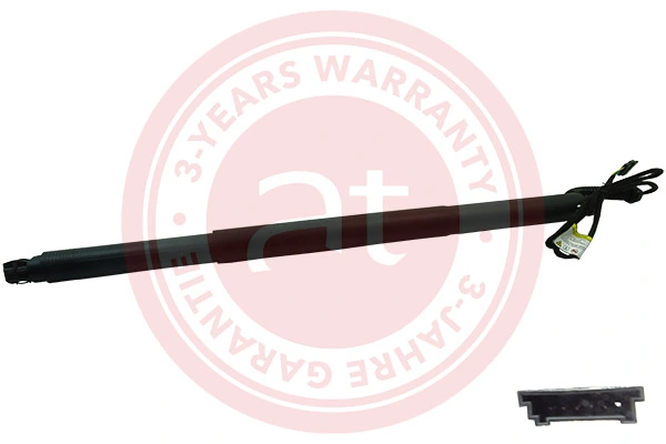 Electric Motor, tailgate at11914