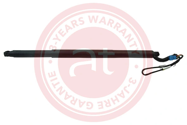 Electric Motor, tailgate at11915