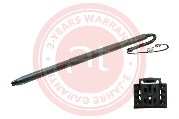 Electric Motor, tailgate at11931