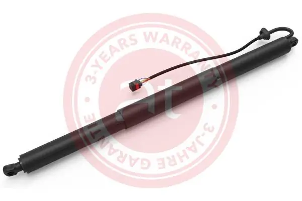 Electric Motor, tailgate at14176