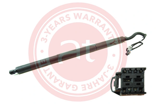 Electric Motor, tailgate at11932