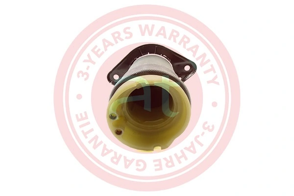 Air Spring, suspension at10489