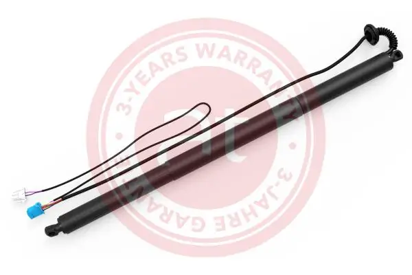 Electric Motor, tailgate at13283