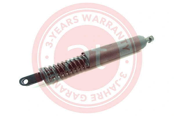 Gas Spring, boot/cargo area at11919