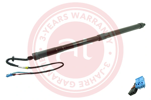 Electric Motor, tailgate at11939