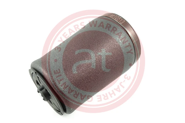 Air Spring, suspension at10513