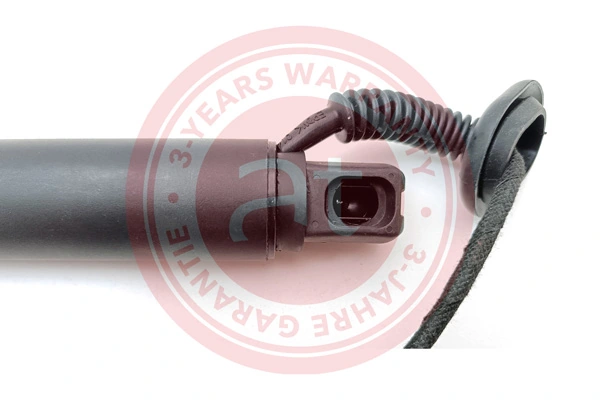 Electric Motor, tailgate at13161