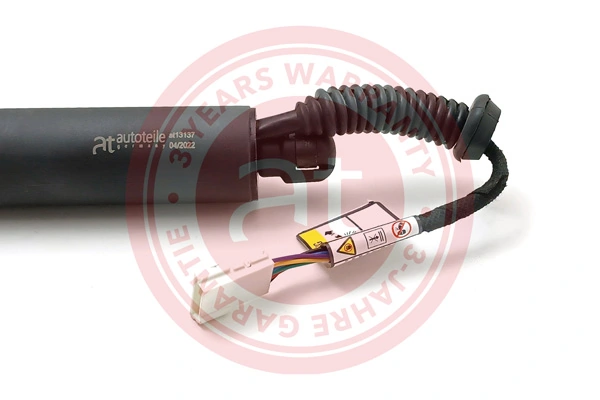 Electric Motor, tailgate at13137