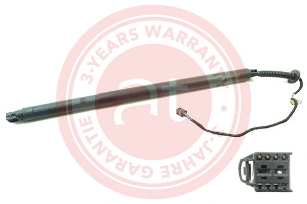 Electric Motor, tailgate at11945