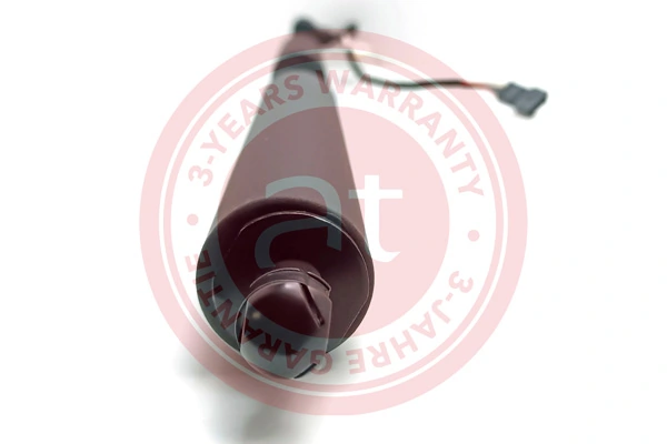 Electric Motor, tailgate at13134