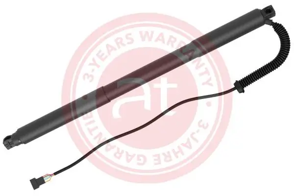 Electric Motor, tailgate at14184