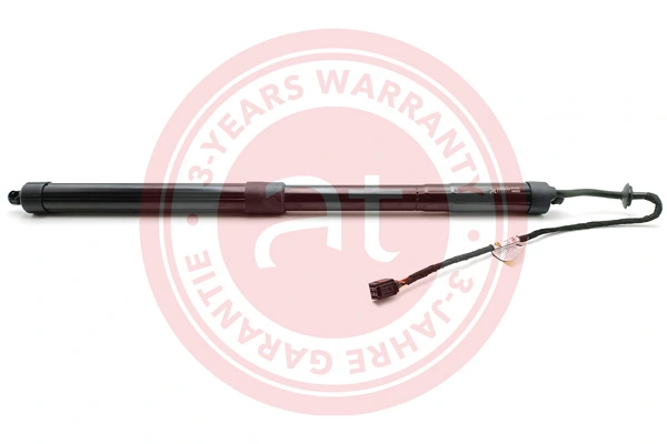 Electric Motor, tailgate at13183