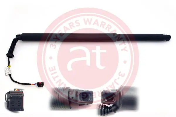 Electric Motor, tailgate at11936