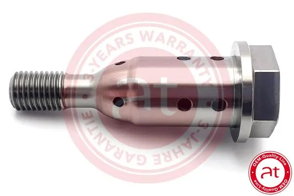 Control Valve, camshaft adjustment OEM - Quality - Line at13421