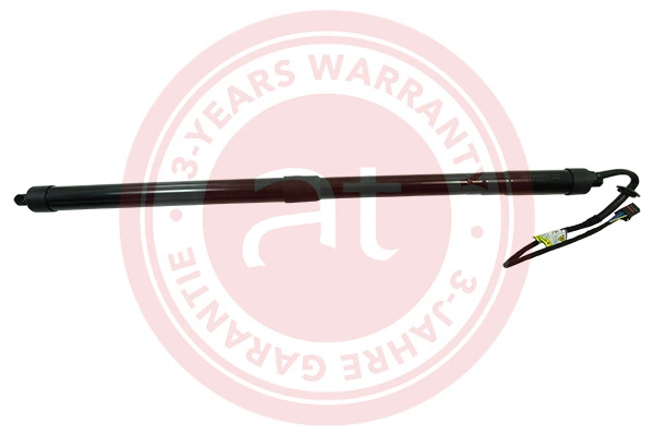 Electric Motor, tailgate at11949