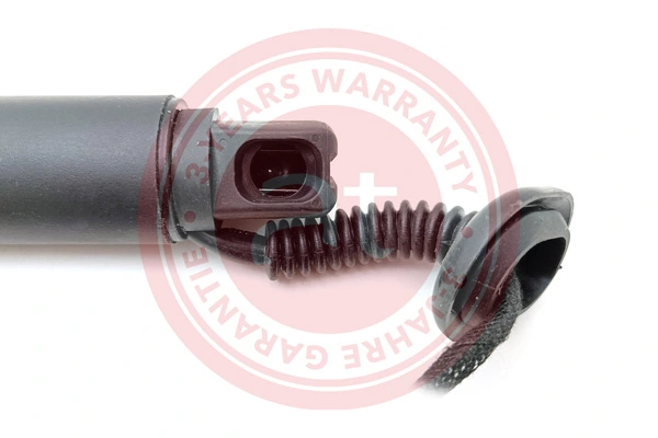 Electric Motor, tailgate at13162