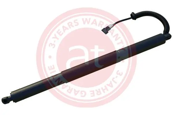 Electric Motor, tailgate at14182