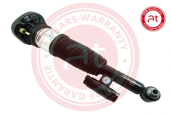 Air Suspension Strut OEM - Quality - Line at12582