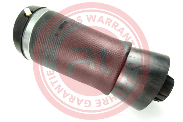 Air Spring, suspension at10869