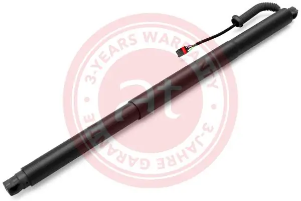 Electric Motor, tailgate at14222